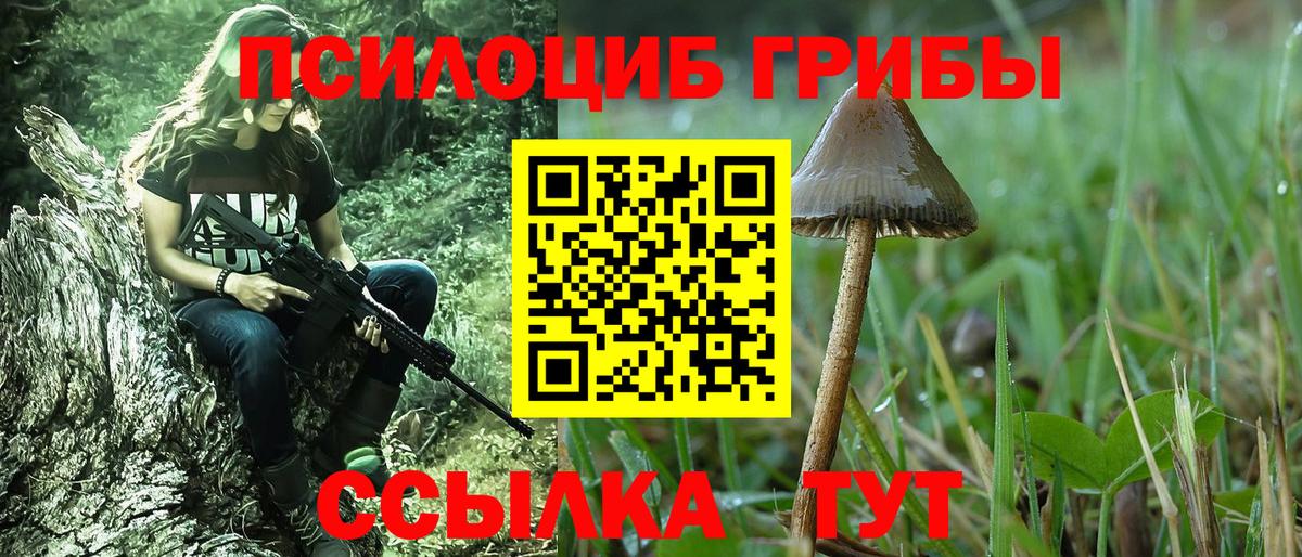 Клинцы  Псилоцибиновые грибы Psilocybine cubensis  Вход с VPN 